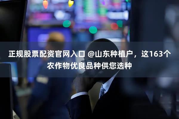 正规股票配资官网入口 @山东种植户，这163个农作物优良品种供您选种