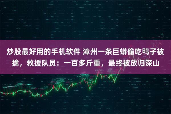 炒股最好用的手机软件 漳州一条巨蟒偷吃鸭子被擒，救援队员：一百多斤重，最终被放归深山