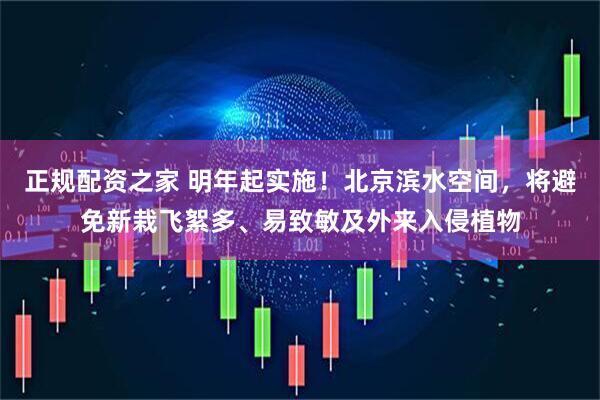 正规配资之家 明年起实施！北京滨水空间，将避免新栽飞絮多、易致敏及外来入侵植物
